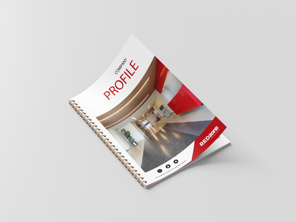 Redzone Company Profile